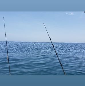 Meet your Posher, Fred